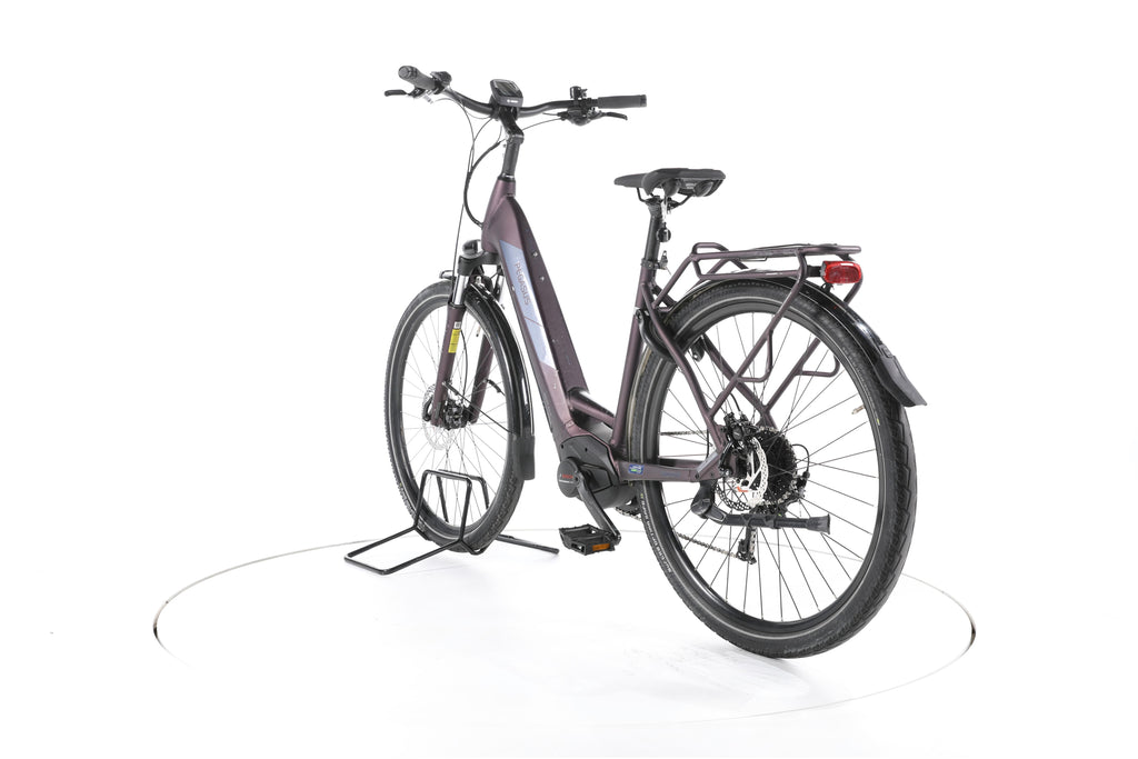 Pegasus Solero Evo 9 Trekking E-Bike Tiefeinsteiger - Image 9