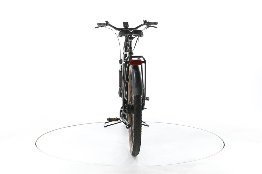 Pegasus Premio EVO 5R City E-Bike Tiefeinsteiger 2023 - Image 10