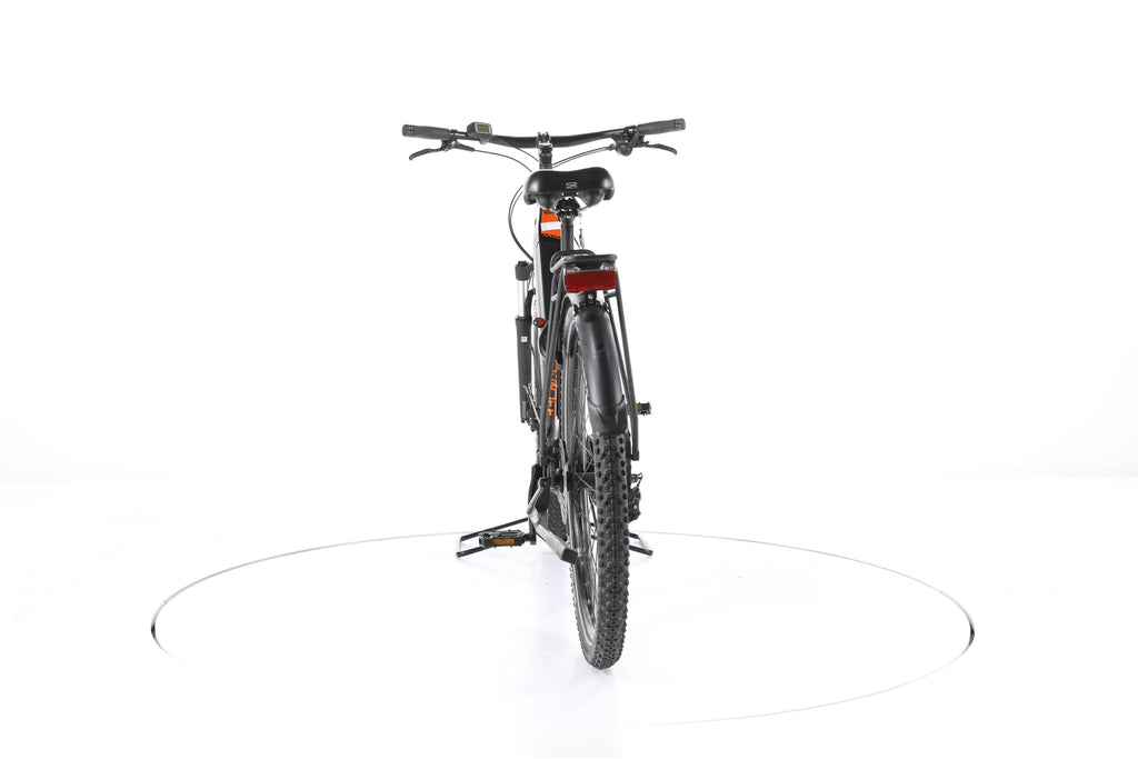 Raleigh Dundee LTD Trekking E-Bike Tiefeinsteiger - Image 10