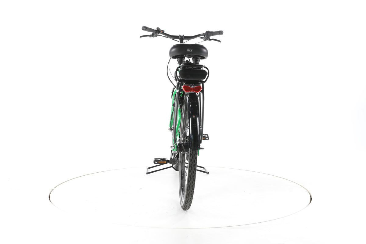 Custom Made VegeRad Caluna-E City E-Bike Tiefeinsteiger 2025 - Image 10