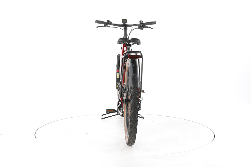 Pegasus Premio Evo 10 Lite Trekking E-Bike Tiefeinsteiger 2024 - Image 10
