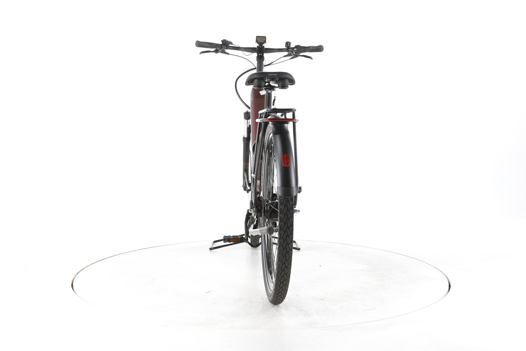Pegasus Solero EVO City E-Bike Tiefeinsteiger - Image 10