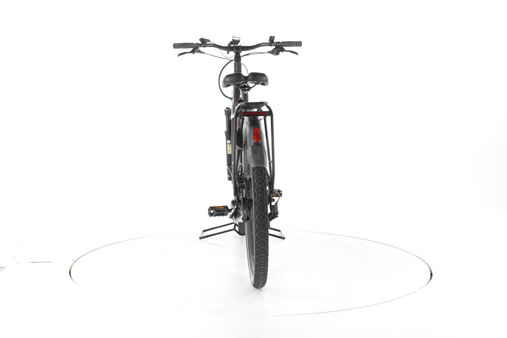 Pegasus Premio Evo 11"40 Years" Trekking E-Bike Tiefeinsteiger - Image 10
