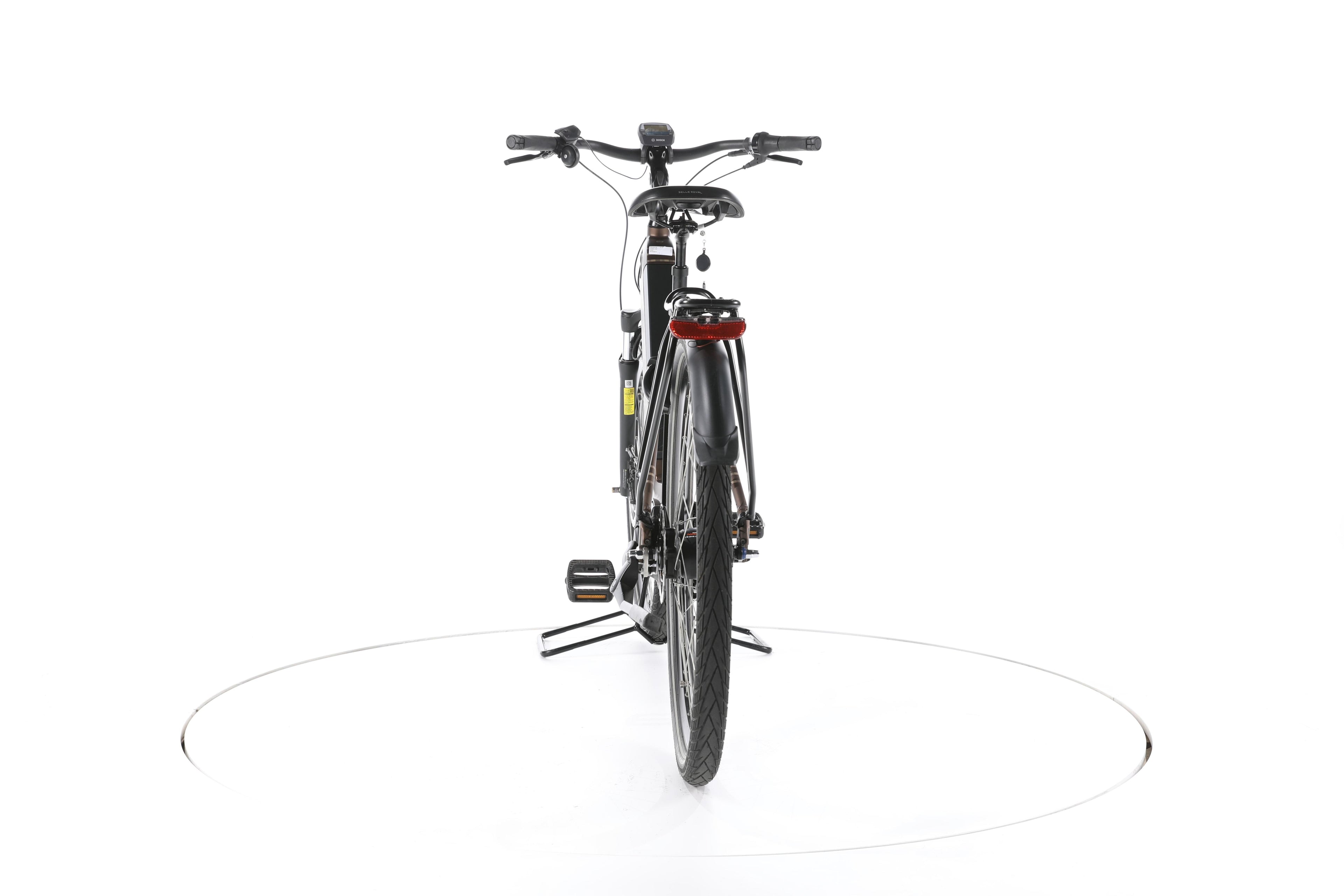 Raleigh Bristol XXL City E-Bike Tiefeinsteiger - Image 10