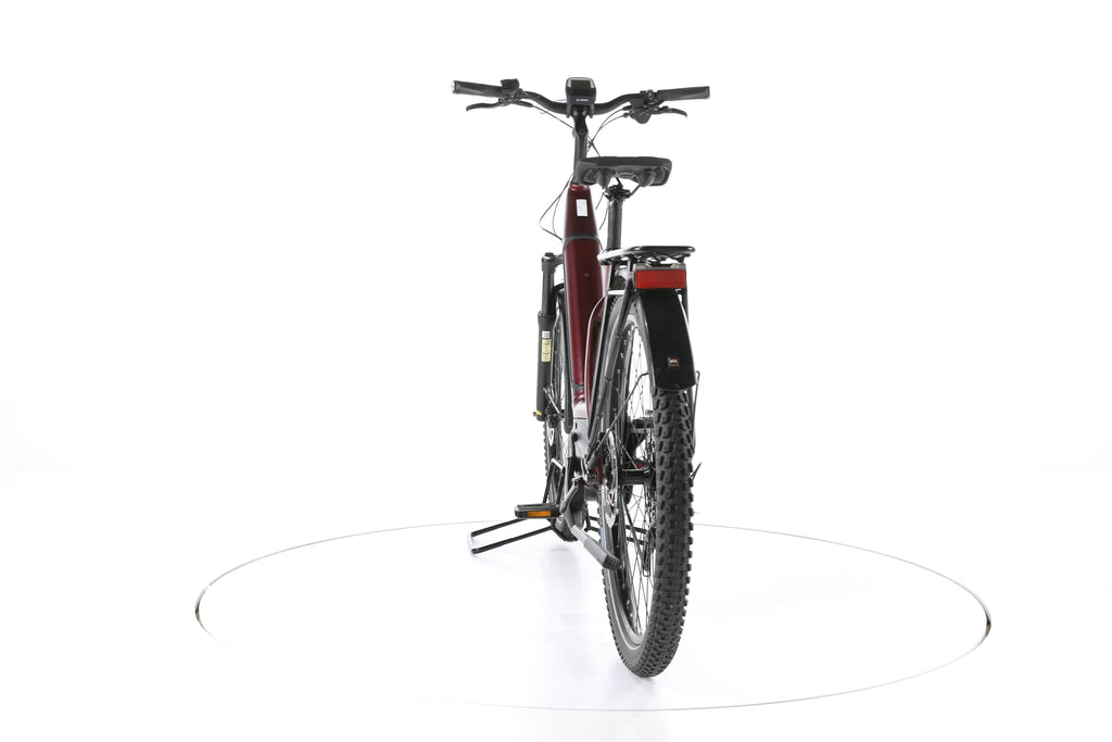 e-bike manufaktur 13ZEHN Trekking E-Bike Tiefeinsteiger - Image 10