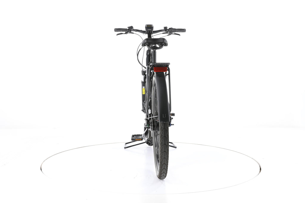 FALTER E 9.0 RT City E-Bike Tiefeinsteiger - Image 10