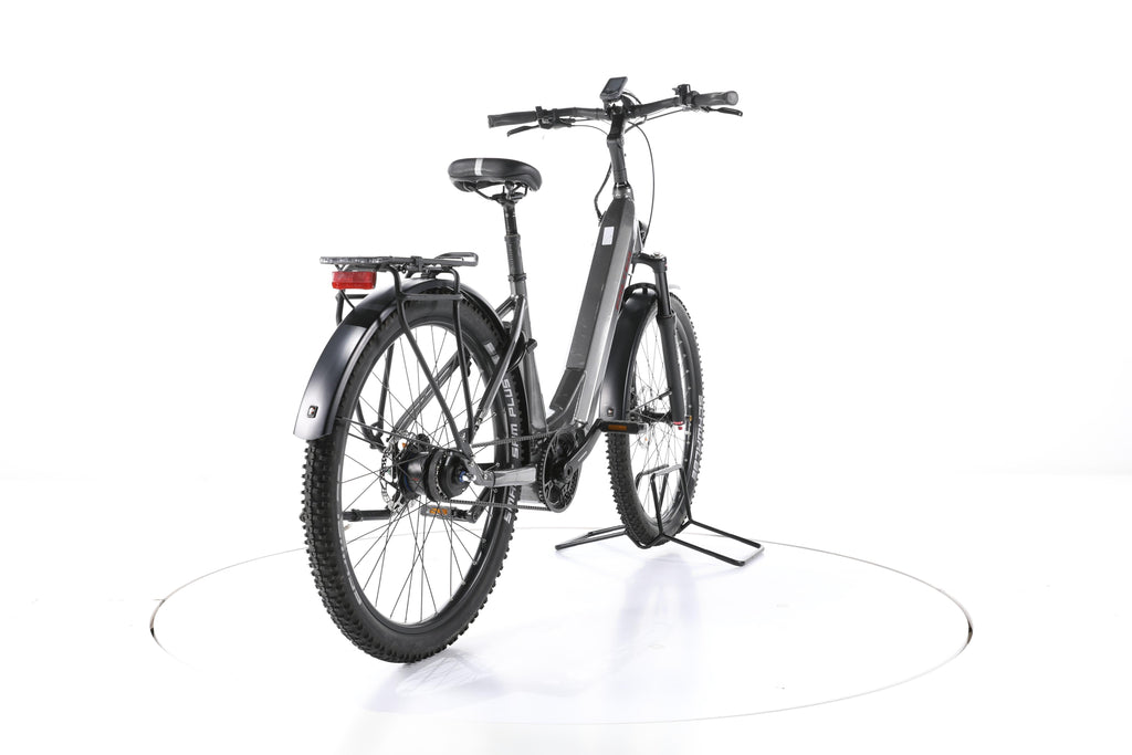 FALTER E 8.8 SUB FL City E-Bike Tiefeinsteiger - Image 11