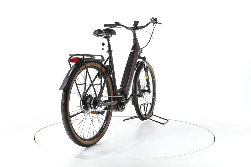 Pegasus Premio EVO 5R City E-Bike Tiefeinsteiger 2023 - Image 11
