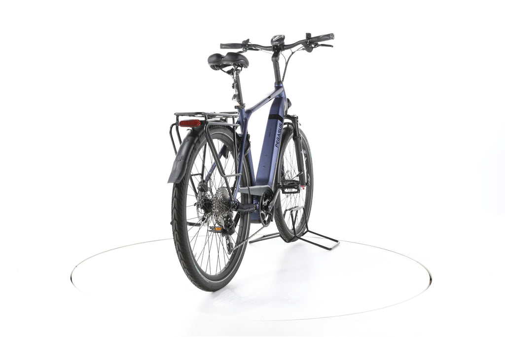 Pegasus Strong Evo 10 Lite Trekking E-Bike - Image 11
