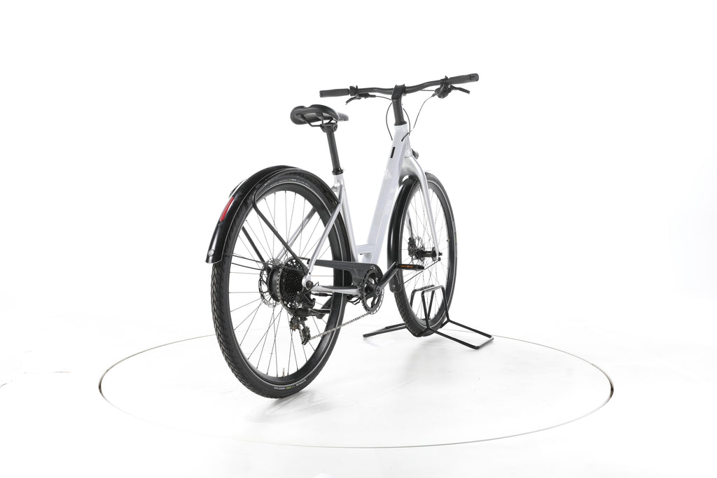 Coboc Kallio RGD Trekking E-Bike Tiefeinsteiger - Image 11