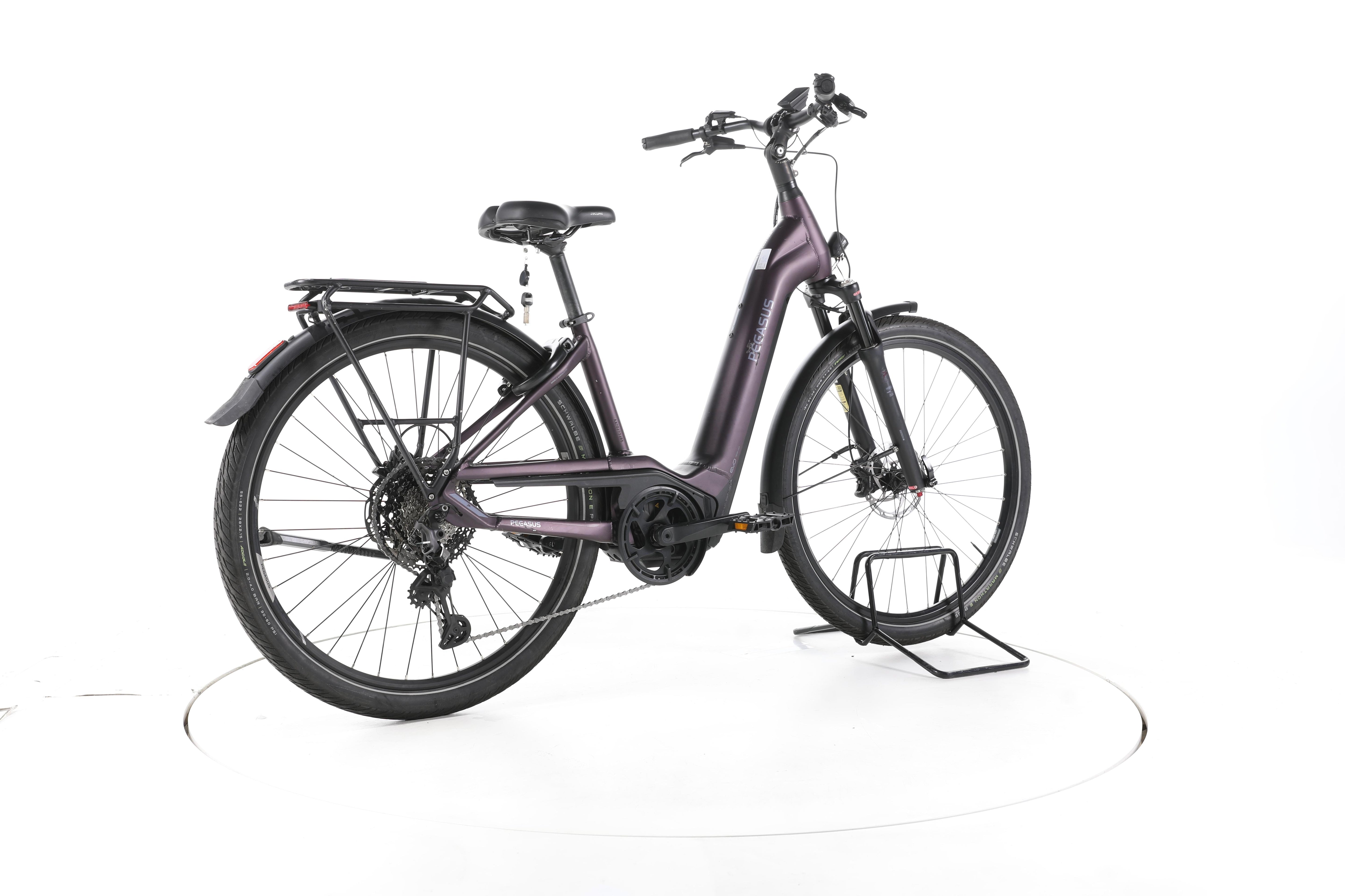 Pegasus Premio Evo 11"40 Years" Trekking E-Bike Tiefeinsteiger - Image 12