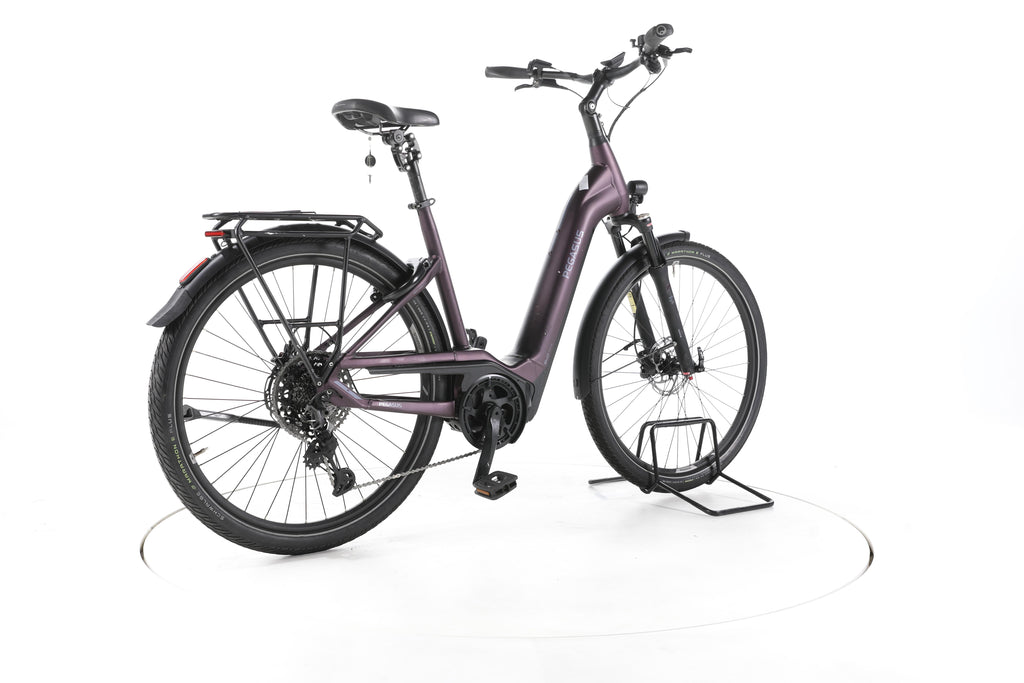 Pegasus Premio EVO 11 Trekking E-Bike Tiefeinsteiger - Image 12