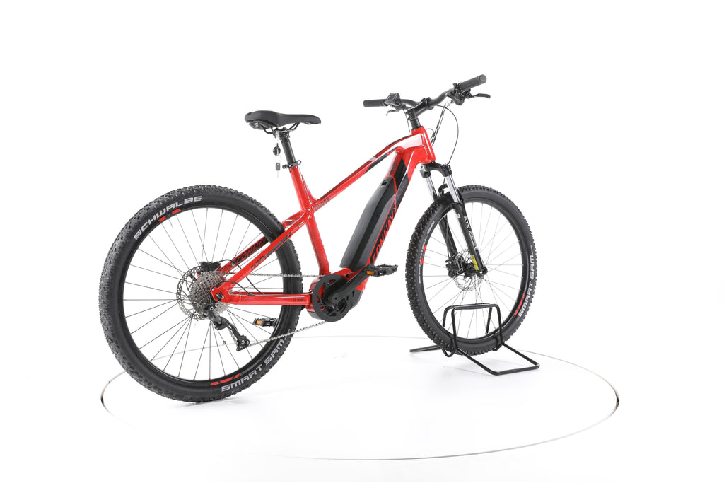 Conway Cairon S 227 E-Bike - Image 12