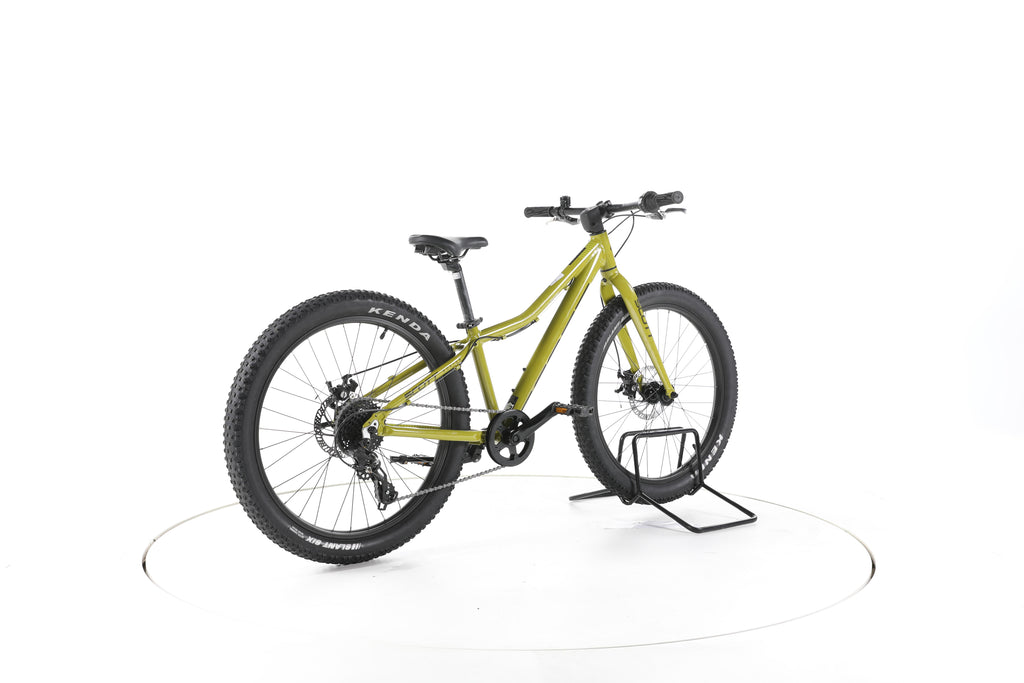 Scott Roxter 24 - Image 12