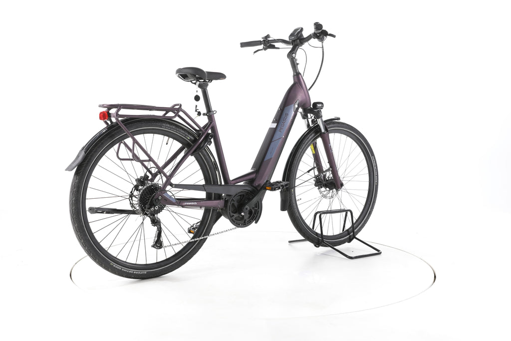 Pegasus Solero EVO 9 Trekking E-Bike Tiefeinsteiger - Image 12