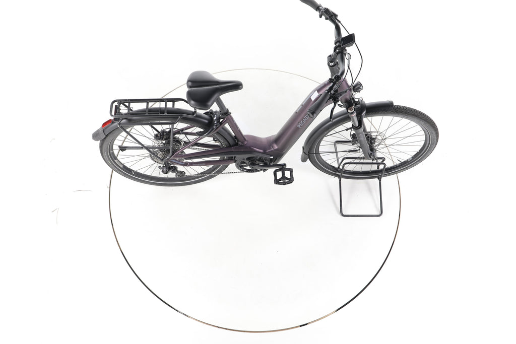 Pegasus Premio Evo 11"40 Years" Trekking E-Bike Tiefeinsteiger - Image 13