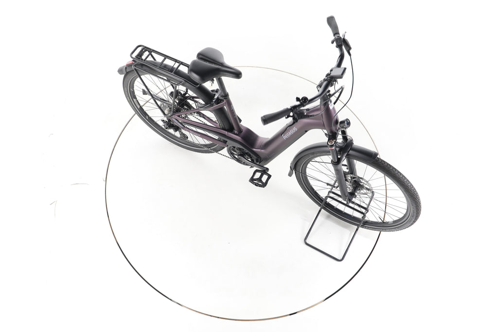 Pegasus Premio Evo 11"40 Years" Trekking E-Bike Tiefeinsteiger - Image 14