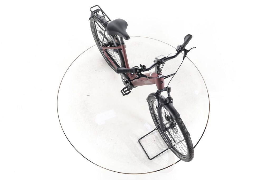 Pegasus Solero EVO City E-Bike Tiefeinsteiger - Image 15