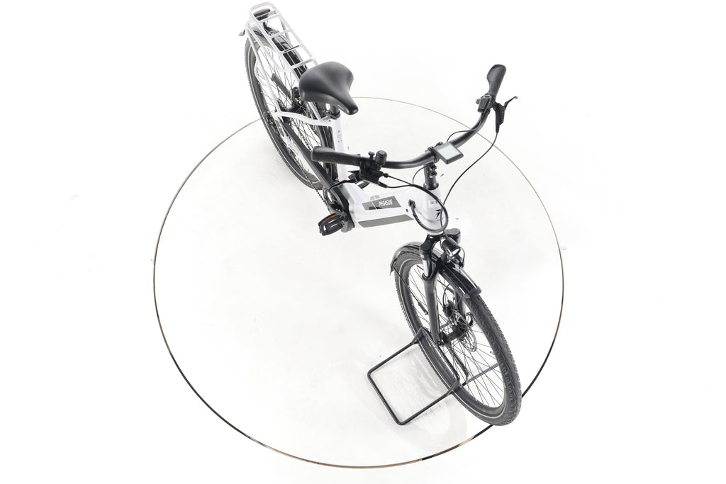 Pegasus Solero EVO 9 Trekking E-Bike Tiefeinsteiger - Image 15