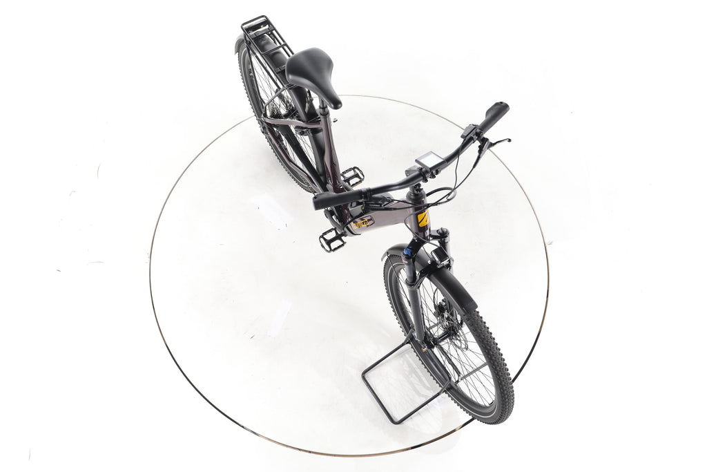 ADVANCED Trekking Plus Trekking E-Bike Tiefeinsteiger - Image 15