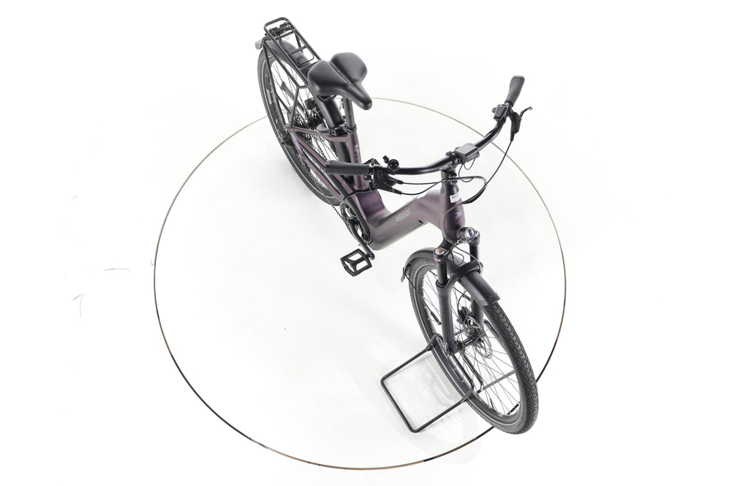 Pegasus Premio Evo 11"40 Years" Trekking E-Bike Tiefeinsteiger - Image 15