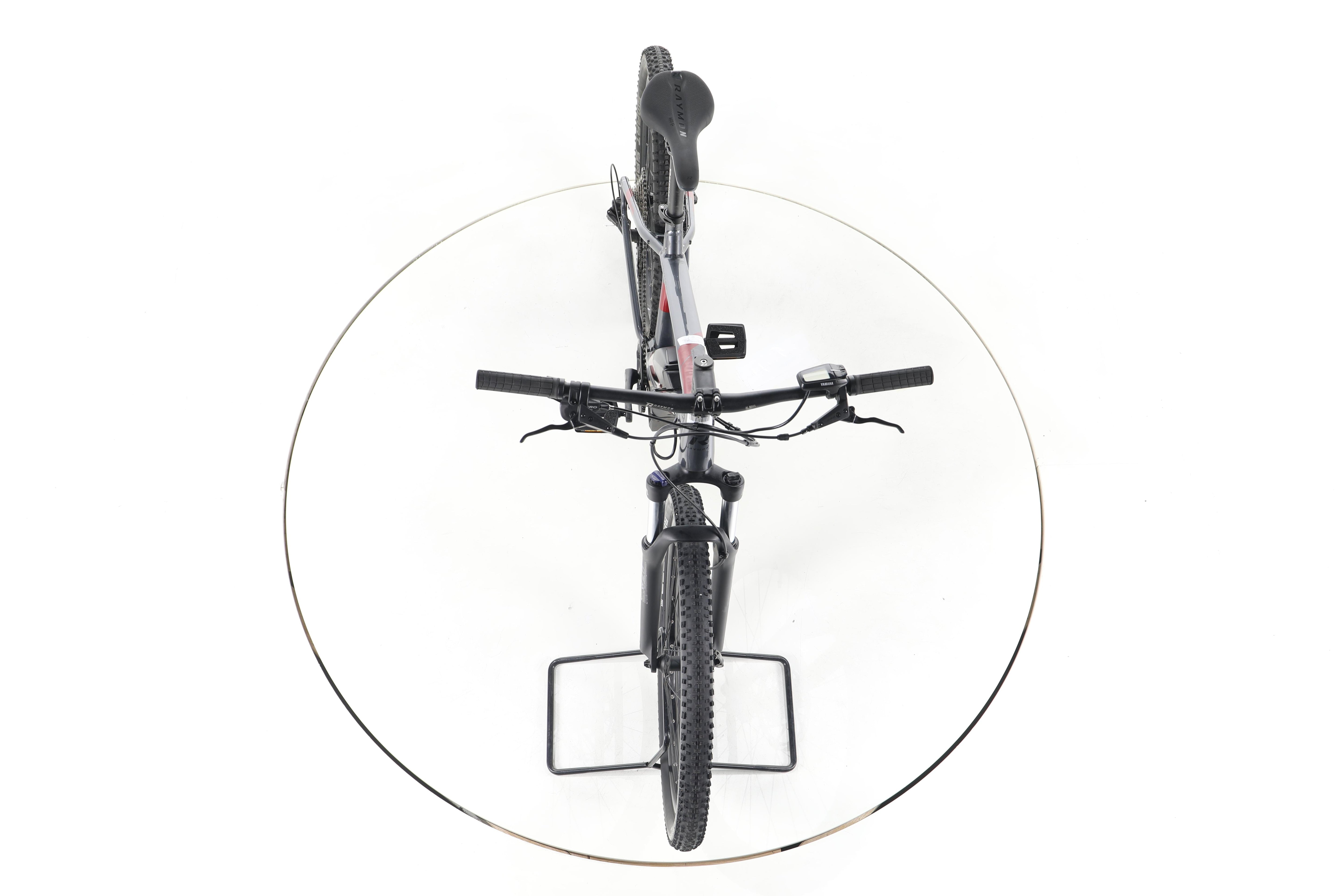 R Raymon HardRay E 3.0 E-Bike - Image 16