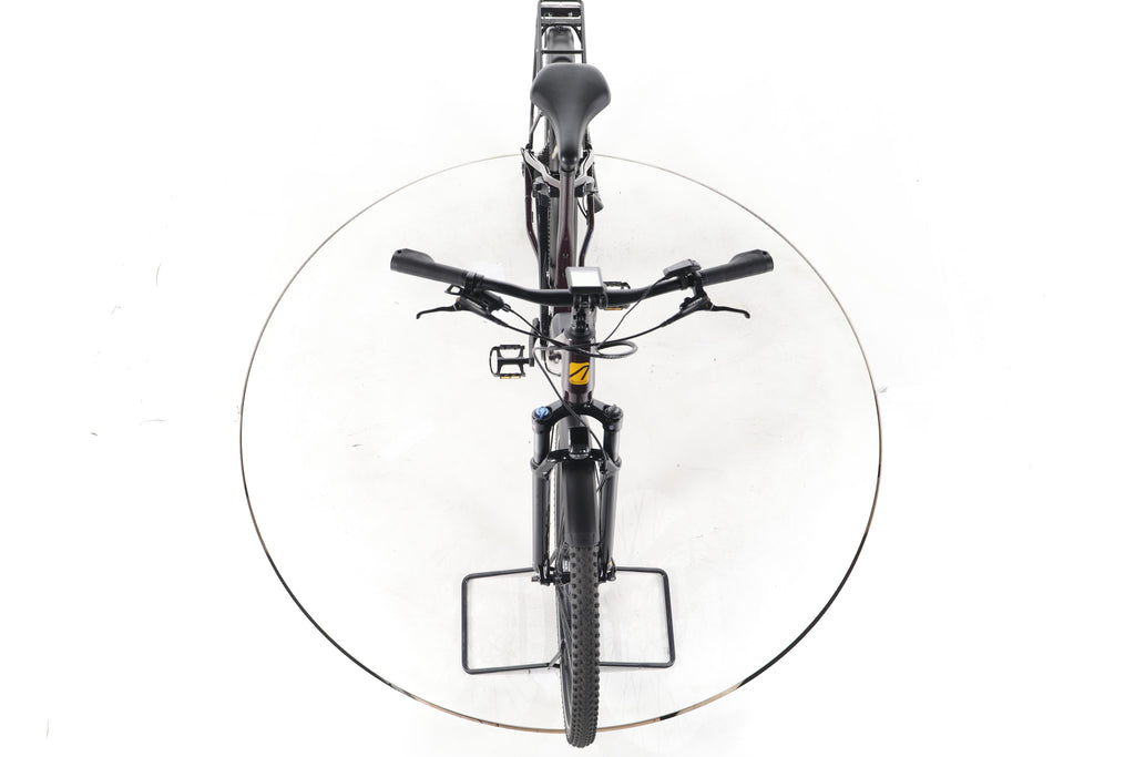 ADVANCED Trekking Plus Trekking E-Bike Tiefeinsteiger - Image 16