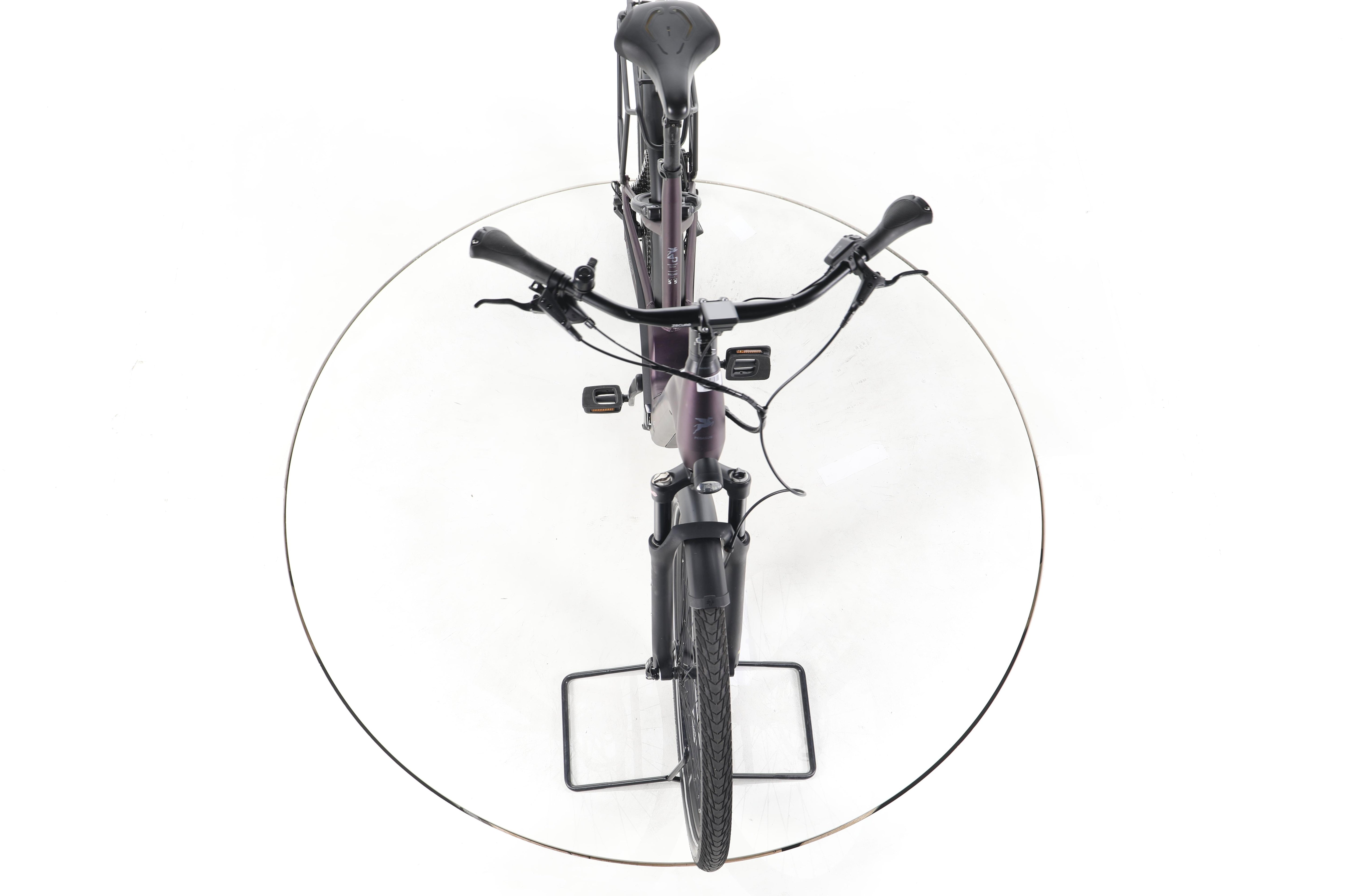 Pegasus Premio EVO 11 Trekking E-Bike Tiefeinsteiger - Image 16