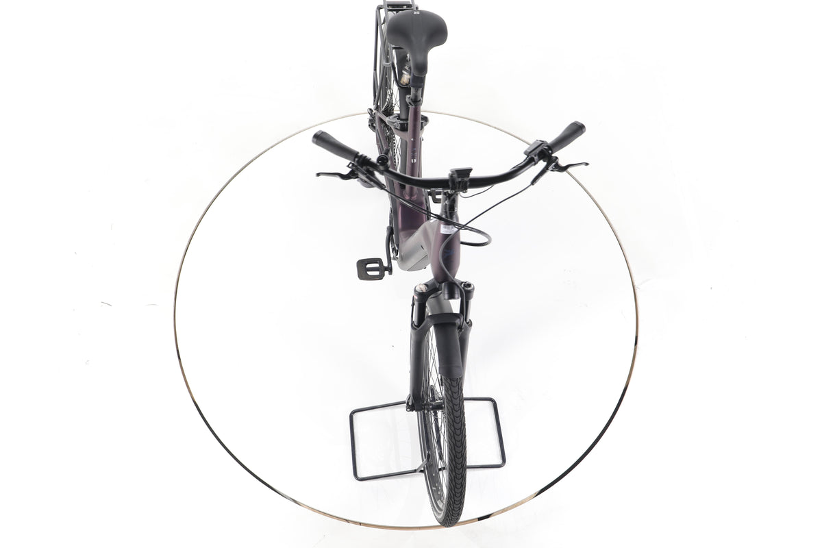 Pegasus Premio EVO Lite Trekking E-Bike Tiefeinsteiger - Image 16