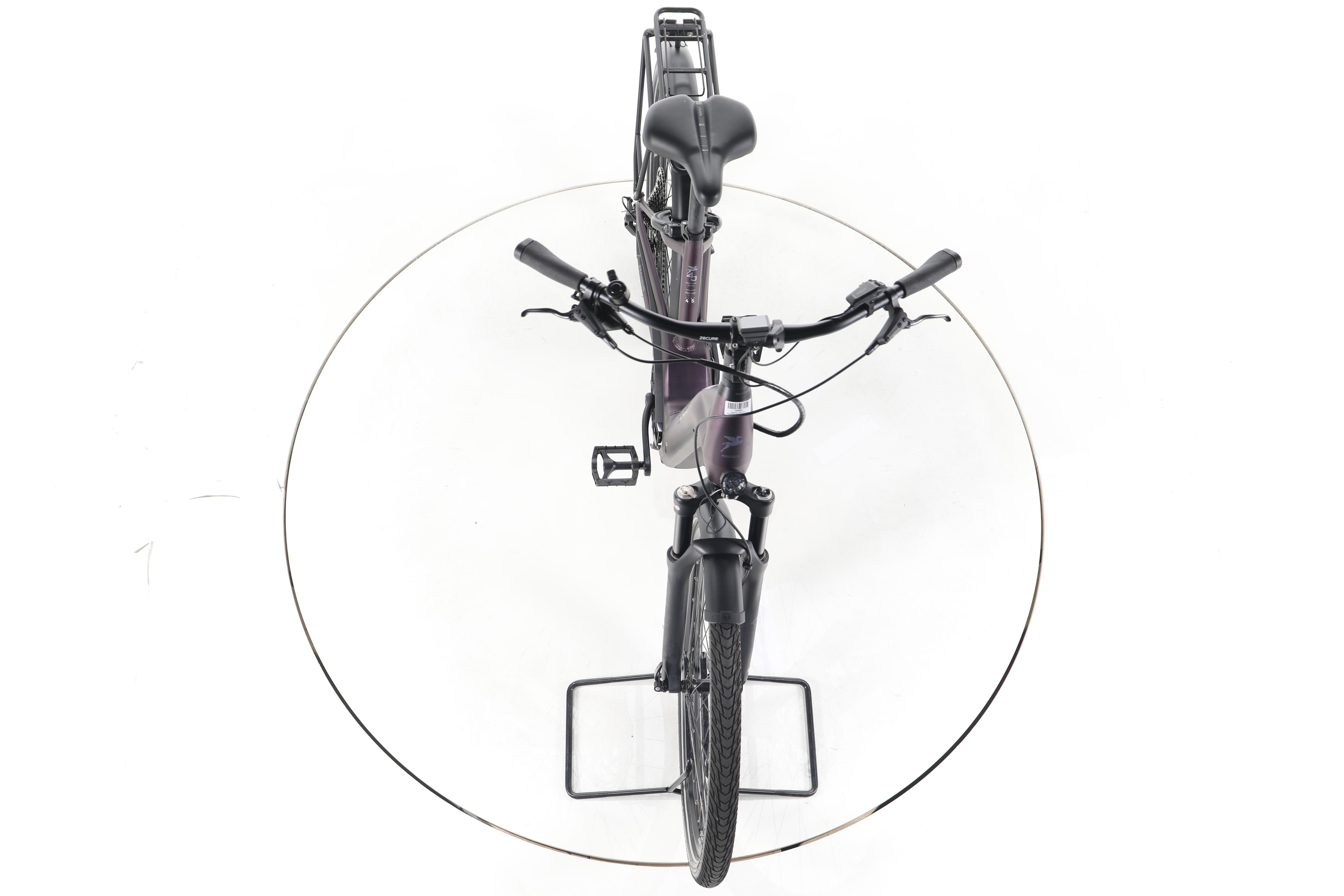 Pegasus Premio Evo 11"40 Years" Trekking E-Bike Tiefeinsteiger - Image 16