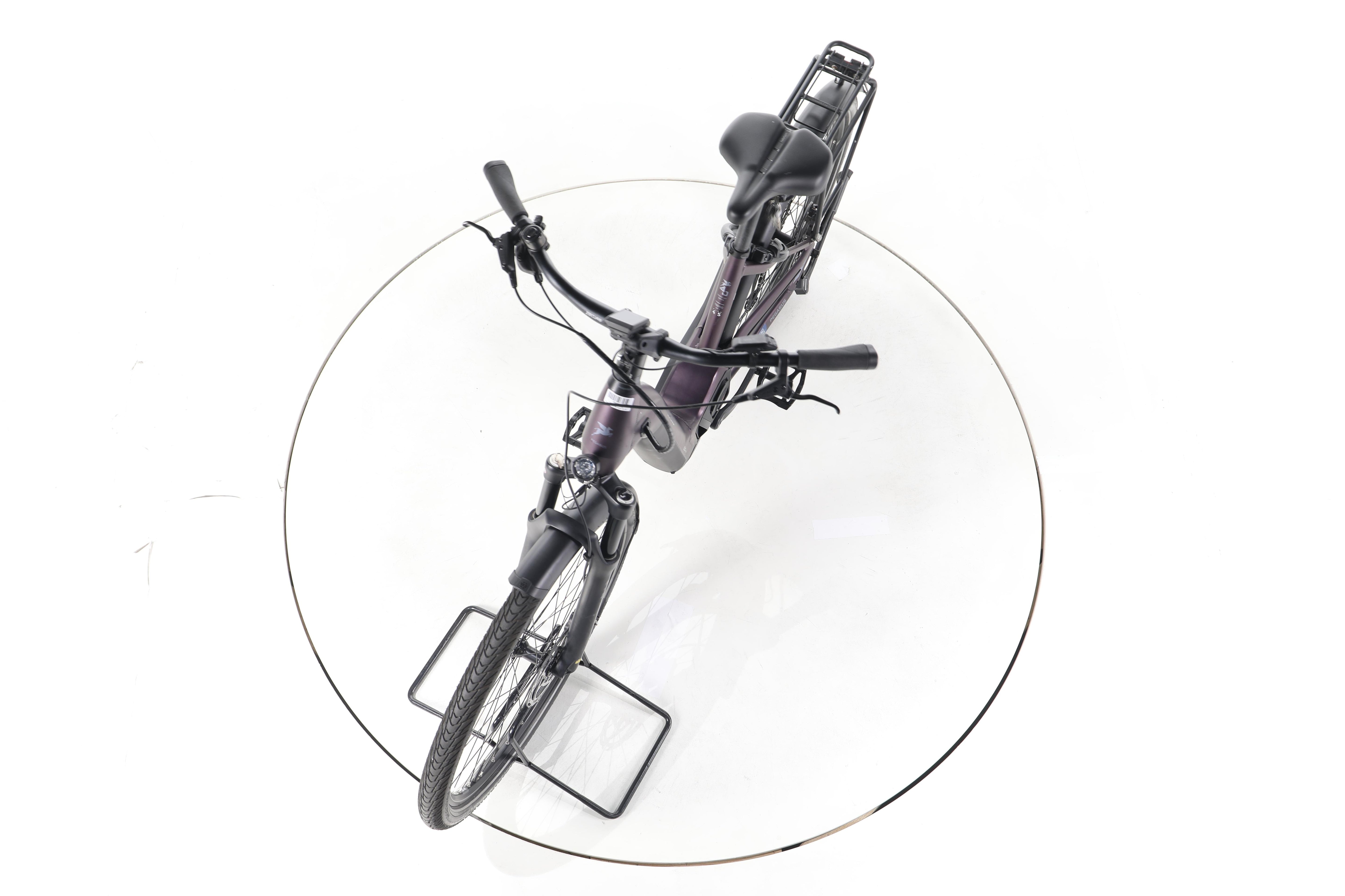 Pegasus Premio Evo 11"40 Years" Trekking E-Bike Tiefeinsteiger - Image 17