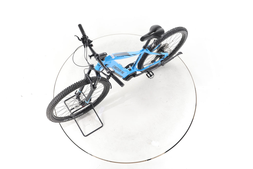 Checker Pig Active Pig E-Bike - Image 18