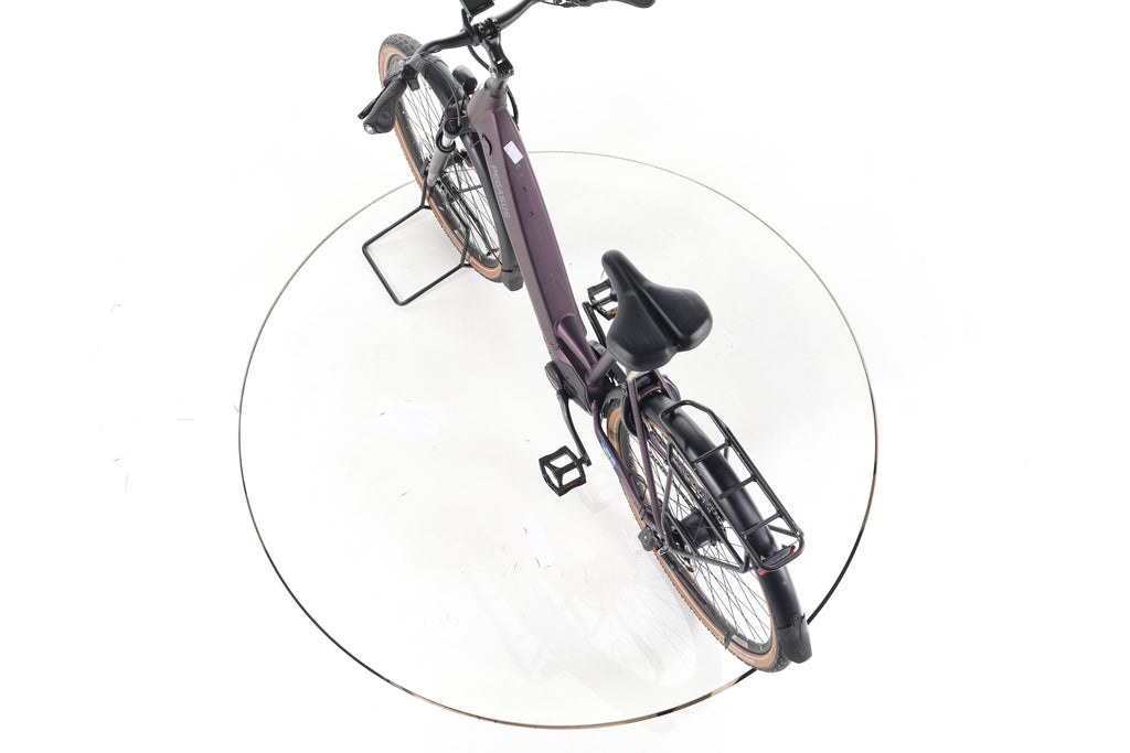 Pegasus Premio Evo 5 R City E-Bike Tiefeinsteiger - Image 21