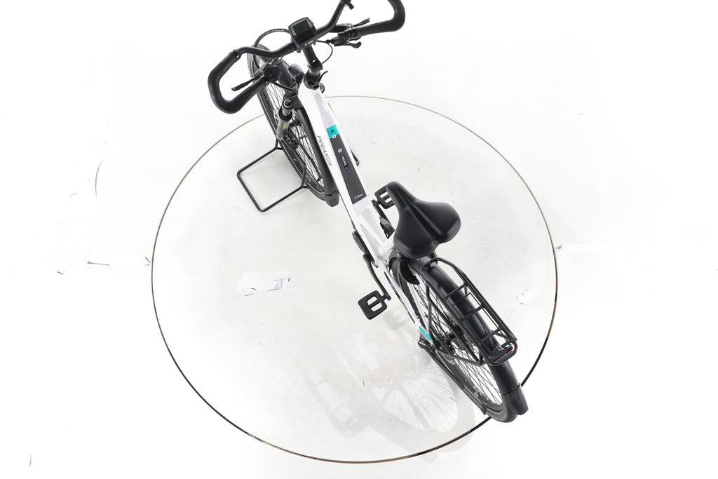 Pegasus Premio EVO Lite Trekking E-Bike Tiefeinsteiger - Image 21