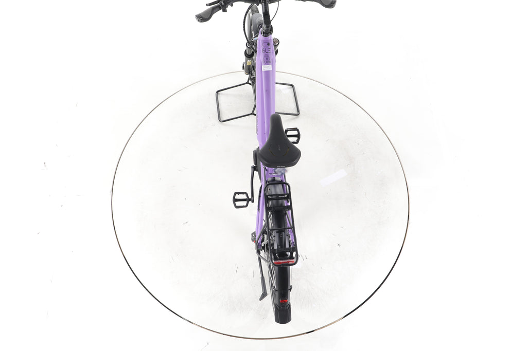 TRENGA DE GLE 10.0 i Gates City E-Bike 2025 - Image 22
