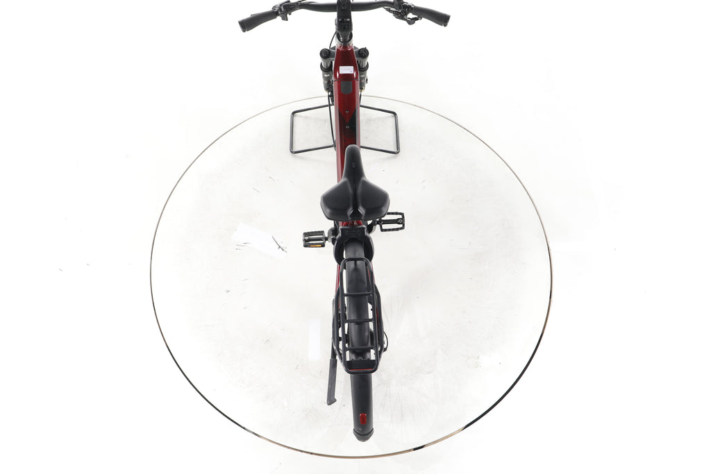 Pegasus Strong Evo 10 Lite Trekking E-Bike Tiefeinsteiger 2025 - Image 22