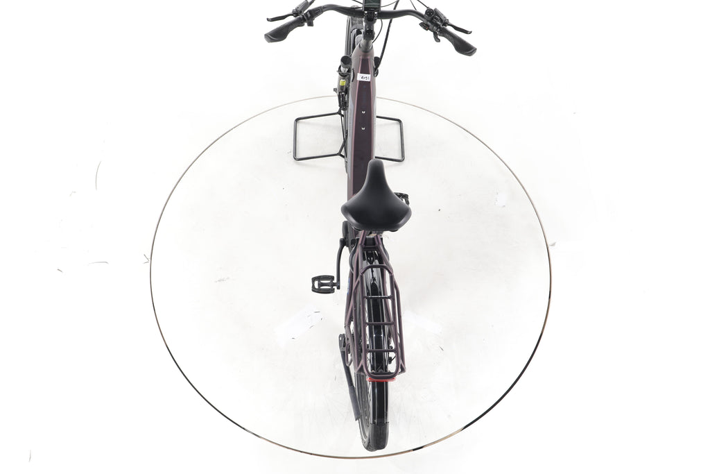 Pegasus Solero EVO 9 Trekking E-Bike Tiefeinsteiger - Image 22