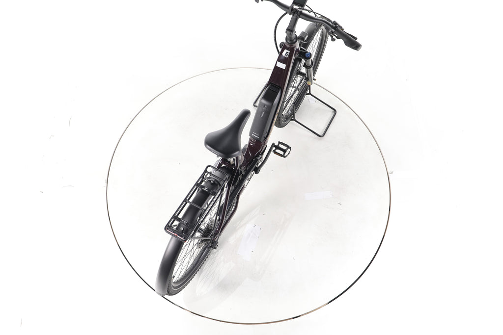 ADVANCED Trekking Plus Trekking E-Bike Tiefeinsteiger - Image 23