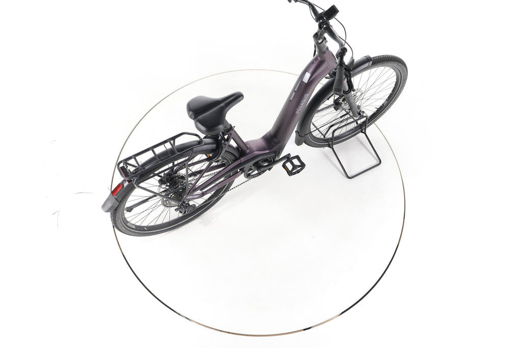 Pegasus Premio Evo 11"40 Years" Trekking E-Bike Tiefeinsteiger - Image 24