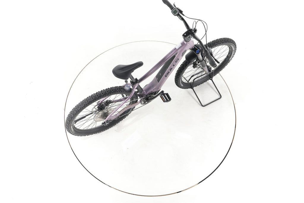 Bulls Aminga EVA 3 E-Bike - Image 24