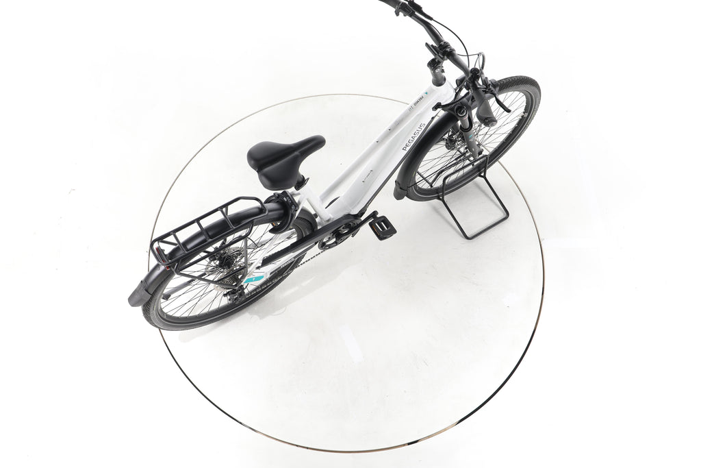 Pegasus Premio EVO 10 Lite Trekking E-Bike 2024 - Image 24