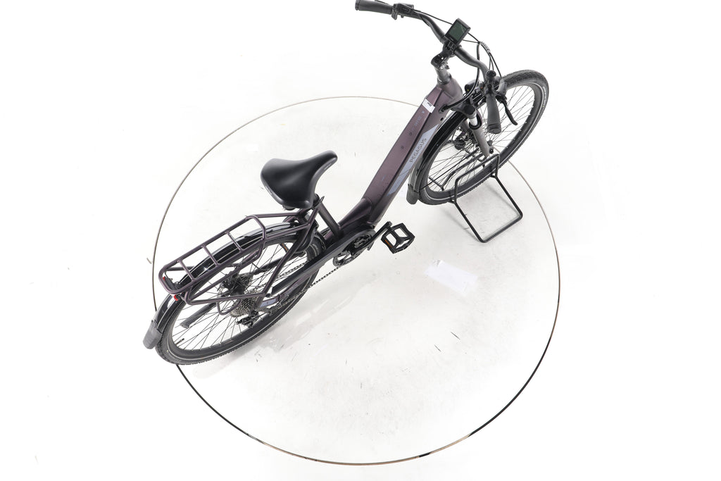 Pegasus Solero Evo 9 Trekking E-Bike Tiefeinsteiger 2024 - Image 24