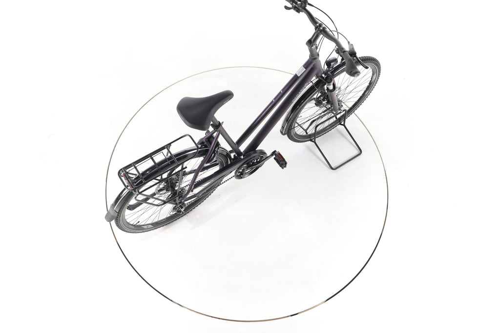 Pegasus Savona SL Disc 24 Fahrrad City & Trekking - Image 24